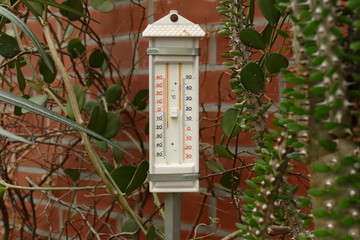 Minimum und Maximum Thermometer, im Gewächshaus