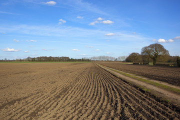 Fototapeta na wymiar farm track with plowed fields