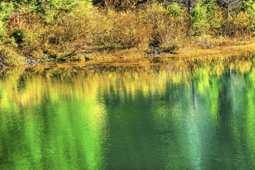 Green Yellow Autumn Reflection Abstract Gold Lake Snoqualme Pass Washington