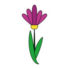 Beautiful flower cartoon vector illustration graphic design