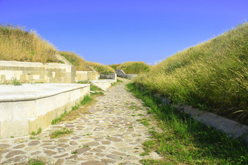 stone road and green