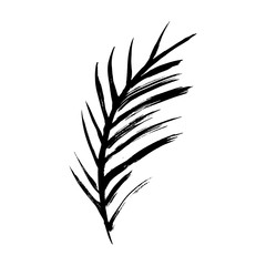 Vector Illustration. Hand draw tropical leaf. Paint brush