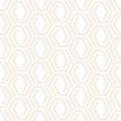 Vector seamless subtle lattice pattern. Modern stylish texture with monochrome trellis. Repeating geometric grid.