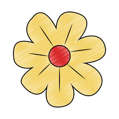 Beautiful flower cartoon vector illustration graphic design