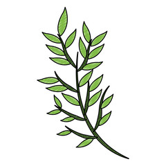 Bouquet of leaves cartoon vector illustration graphic design