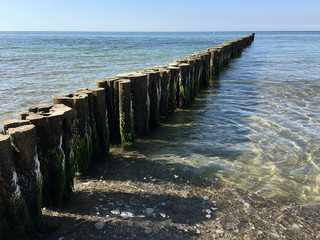 Fototapeta na wymiar Coast protection at the baltic sea (Kuehlungsborn, Germany): groynes