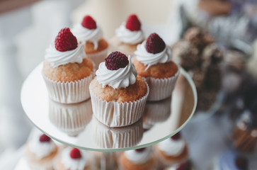 cupcake,  dessert