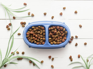 Pet food for dog or cat in bowl on wooden background top view flat lay