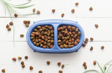 Pet food for dog or cat in bowl on wooden background top view flat lay