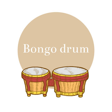 Colored Bongo in Hand-Drawn Style