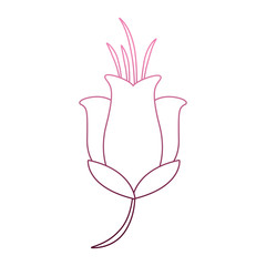 Beautiful flower cartoon on purple lines vector illustration