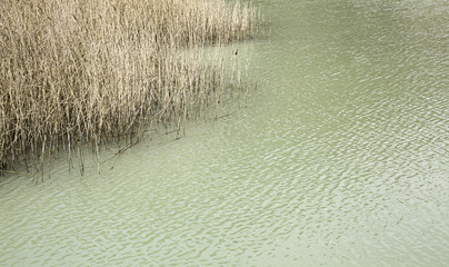 Natural green lake