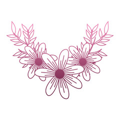 Beautiful flowers cartoon on purple lines vector illustration