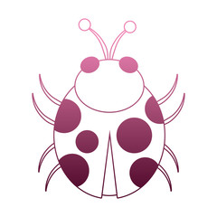 Ladybug cartoon isolated on purple lines vector illustration