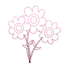 Beautiful flowers cartoon on purple lines vector illustration