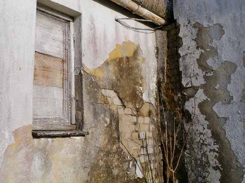 Verfaulte Ecke an der Mauer