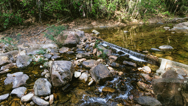 Small mountain stream in the shade of the tropical forest with snag tree in the foreground, Mu Koh Chang National Park, Thailand. View from the trail to the Khlong Phlu waterfall. Natural background.