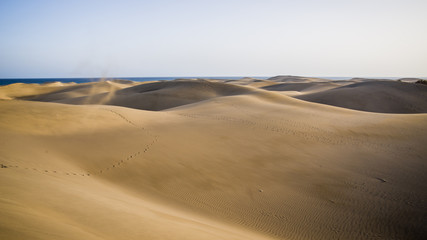 Fototapeta na wymiar dunas de maspalomas en la isla de gran canaria, españa