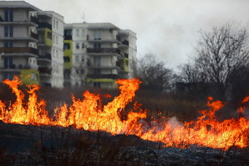 The fire of large areas of dry grass in the meadow can turn into a terrible tragedy as if it got close to residential houses.