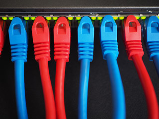 color RJ 45 plug in black switch.