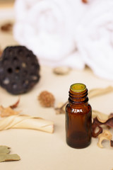 Essential oil and dry flowers on beige background