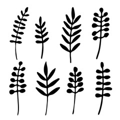 Set of floral elements vector silhouette, black shadow grass, meadow, plants shape isolated on transparent, thin twig plant