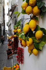南イタリア、アマルフィのレモン