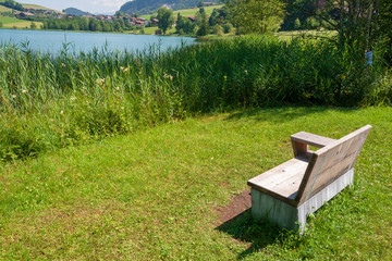 Bank am Seeufer mit Schilf