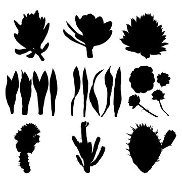 Black silhouettes of cactus, agave, aloe, and prickly pear. Cacti set. Vector.