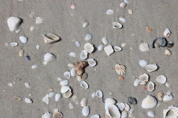 Fototapeta na wymiar plage mer sable