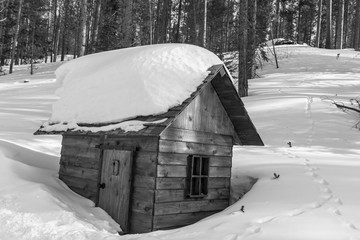 The Cabin in the Wood