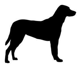Vector Silhouette Of A Standing Dog