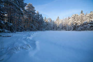 Frozen lake shore and snow covered forest at sunny winter day in Finland