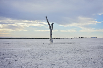 desierto