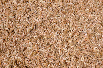 Close up on dried shrimps in the sun, Thailand