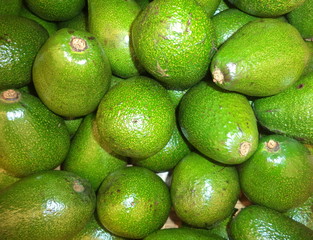 ripe avocado fruit