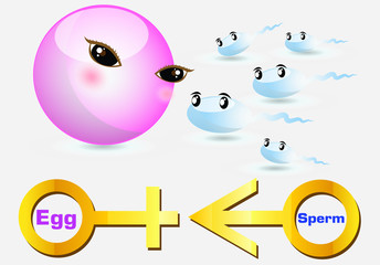 vector of sperm go foward to egg to give a birth with male and female sex symbol