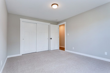 Light gray empty room with closet