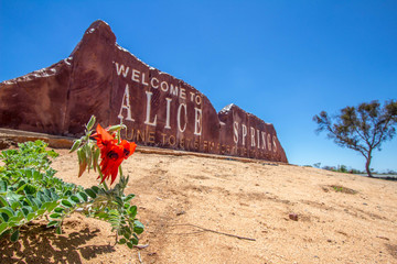 Welcome To Alice Springs  © mandywilson
