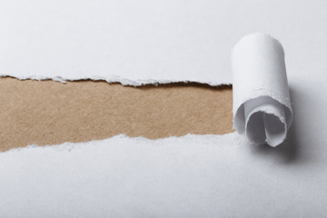 Paper Tear Background