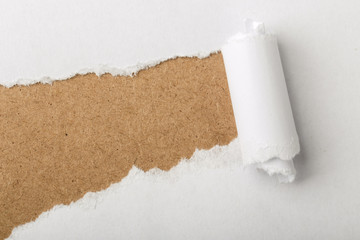 Paper Tear Background