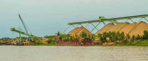 Obraz premium wood chip stockpile factory on Mahakam riverbank. industrial background