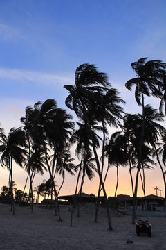 Praia De Zumbi