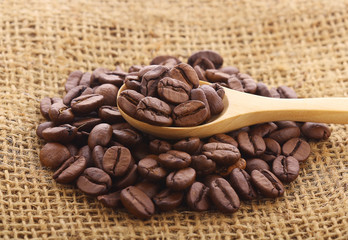 Coffee beans on wooden spoon