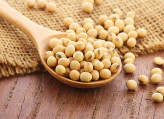 Soybeans on wooden spoon