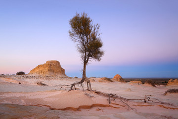 Searching for water arid landscape