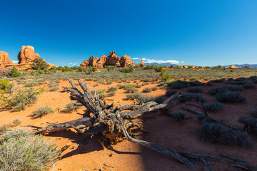 Summer scenery in Arches National Park, Utah, with red rock formations and clear blue sky