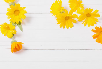 Calendula (Marigold) herbal tea  on white wooden table