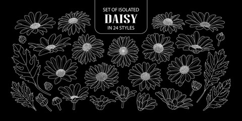 Set of isolated daisy in 24 styles.