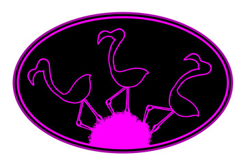 creative flamingo illustration